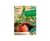 Royal Gardineer Terracotta Wasserspender 