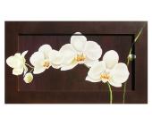 Wandbild »Magnolienzweig«