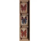 Wanddeko »Schmetterling« in 3 Versionen