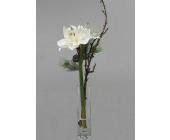 Amaryllis in Vase.