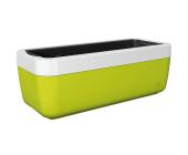EMSA Blumenkasten »MyBox«, grün/weiß, 50 x 22 x 18 cm