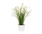 Orchideengesteck mit Gras