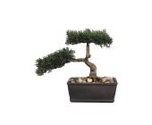 Kunstpflanze Bonsai »Zeder«