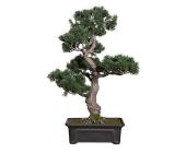 Kunstpflanze Bonsai Zeder