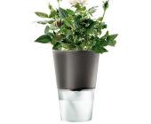 EVA SOLO Eva Solo Kräutertopf selbstbewässernd dunkelgrau 11cm, dunkelgrau