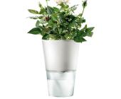 EVA SOLO Eva Solo Kräutertopf selbstbewässernd kalkweiß 11cm, kalkweiß