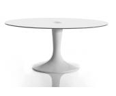 DeLife Esstisch Tulip Lounge Oval Weiss/ Weiss Sicherheitsglas