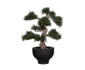 Kunstpflanze Bonsai Zeder