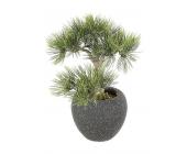 Kunstpflanze »Bonsai Zwergkiefer«