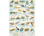 Eurographics Puzzle Schlangen 1000 Teile Puzzle von Eurographics