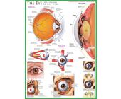 Eurographics Puzzle Das Auge 1000 Teile Puzzle von Eurographics
