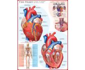 Eurographics Puzzle Das Herz 1000 Teile Puzzle von Eurographics