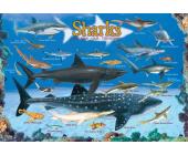 Eurographics Puzzle Haie 100 Teile Puzzle von Eurographics