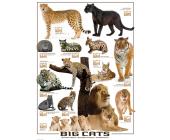 Eurographics Puzzle Große Katzen - Puzzle - 1000 Teile - Eurographics