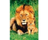 Eurographics Puzzle Löwe und Junges - Puzzle - 1000 Teile - Eurographics
