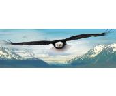 Eurographics Puzzle Adler - Panorama Puzzle - 750 Teile - Eurographics