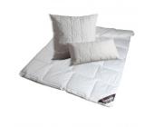 Bettwaren-Shop Thinsulate Set 4- Jahreszeiten Bettdecke und Kopfkissen 155x220 cm + 80x80 cm
