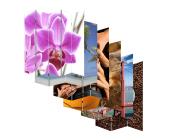 Foto-Paravent Paravent Raumteiler Spanische Wand M68, 4 Panels ~ Variantenangebot