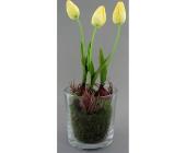 Tulpen-Arrangement, gelb