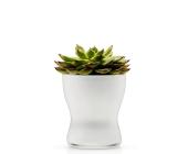 EVA SOLO Eva Solo Blumentopf aus Glas selbstbewässernd 11cm weiß, weiß
