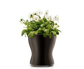 EVA SOLO Eva Solo Blumentopf aus Glas selbstbewässernd 11cm schw, schwarz