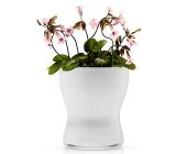 EVA SOLO Eva Solo Blumentopf aus Glas selbstbewässernd 13cm weiß, weiß