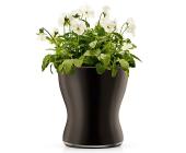 EVA SOLO Eva Solo Blumentopf aus Glas selbstbewässernd 13cm schw, schwarz
