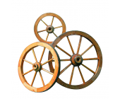 Promex Wagenrad Angers (Durchmesser: 50cm)