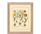 BUTLERS VILLAGE ANTIQUES Vintage Bild "Blumen"