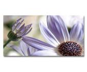 Bild »Blume Gerbera«, 100 x 50 cm