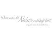 Wandspruch »Natur«, rauch grau