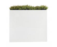 Probell Blumenkasten hoch