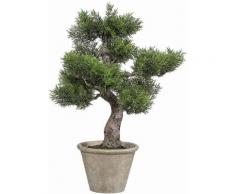 Home affaire Kunstpflanze »Bonsai Zender«, grün