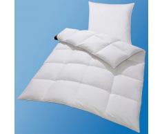 Set: Daunenbettdecken + Kopfkissen Hanse by Ribeco »Lea«, Warm, 90% Daunen, 10% Federn (+ 2 Gratis-Nackenrollen), Warm