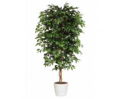 Premium collection by Home affaire Kunstpflanze »Ficus Benjamini«, grün, Unisex