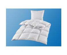Set: Feder/-Daunenbettdecken + Kopfkissen Balette »SwissDreams«, Warm, 60% Daunen, 40% Federn, Warm