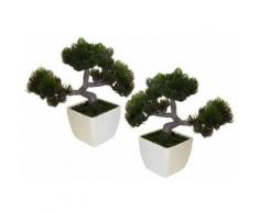 Home affaire Kunstpflanze »Bonsai« (2-tlg.), schwarz, schwarz