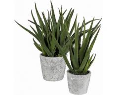 Home affaire Kunstpflanze »Aloe im Zementtopf«, grün
