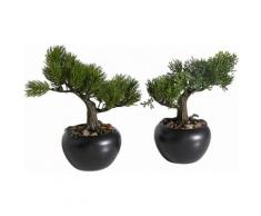 Home affaire Kunstpflanze »Bonsai« (2er Set), grün
