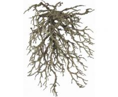 Home affaire Kunstpflanze »Dekoast«, natur