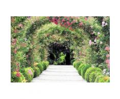 Home affaire Fototapete »Rose Arch Garden«, 350/260 cm, grün, grün/rosa