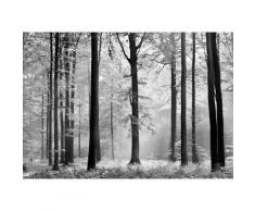 Home affaire Fototapete »Avalon«, 366/254 cm, grau, anthrazit