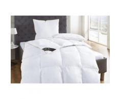 Hanse Kissen »Lena«, 2x 155x220 + 2x 80x80 cm, hautfreundlich, allergikerfreundlich