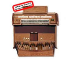 Vivace 60 Laminat