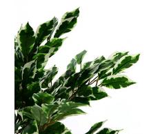 Ficus Baum Echtholzstamm Kunstpflanze Kunstbaum Ficusbaum grün weiß 150 cm