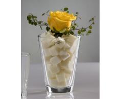 Sandra Rich 360009 Vase, Glas, transparent, 20 x 10 x 10 cm