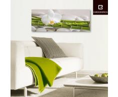 Eurographics DG-UWE1050 Deco Glass, Glasbild, White Bambo, 30 x 80 cm