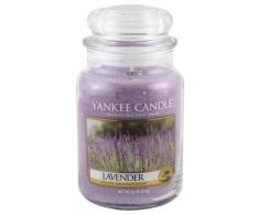 Yankee Candle 1043443E Lavender Kerzen, 623 g