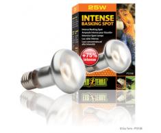 Exo Terra Intense Basking Spot - Tageslichtlampe, 25 Watt