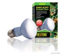 Exo Terra Daylight Basking Spot - Neodymium Tageslichtlampe, R20 / 75 W / 230 V